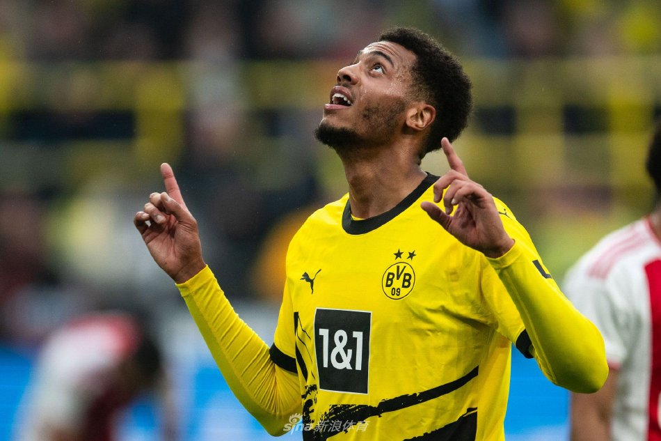 的职业生涯 的职业生涯