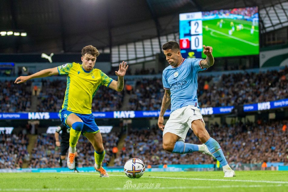 持稳定的发 持稳定的发